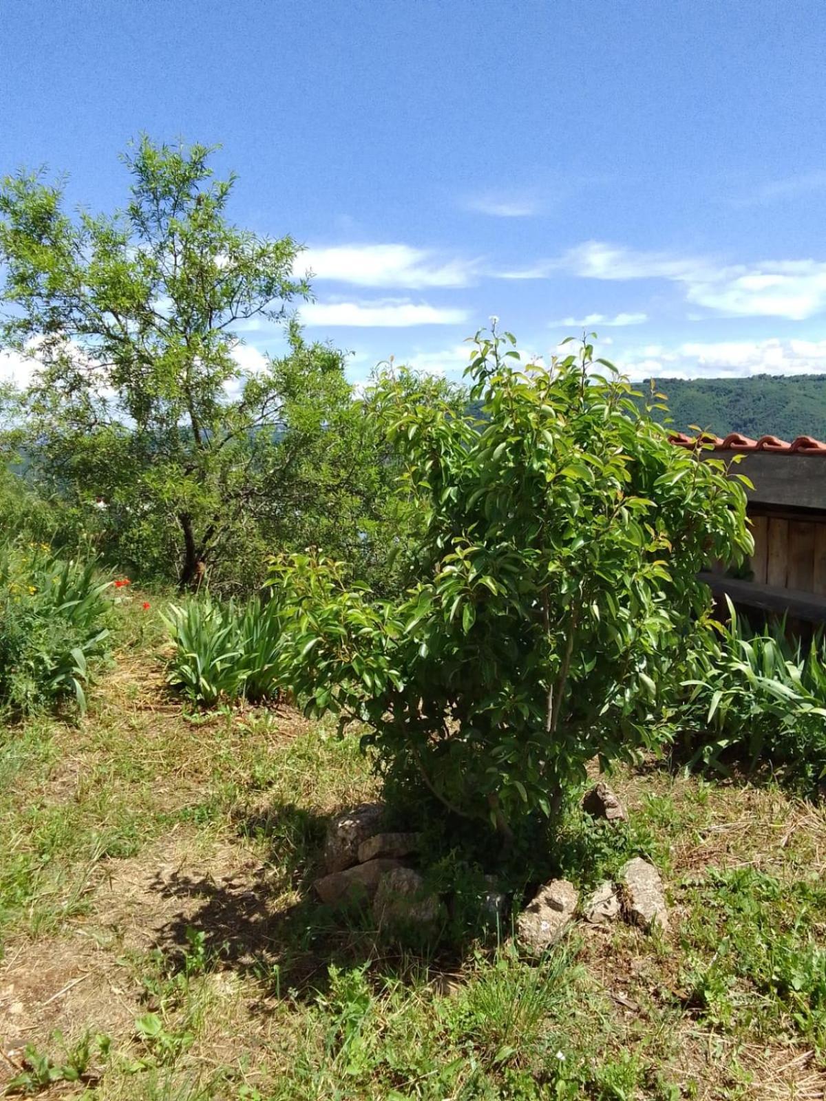 Gites De Revirand Sarras Exterior photo