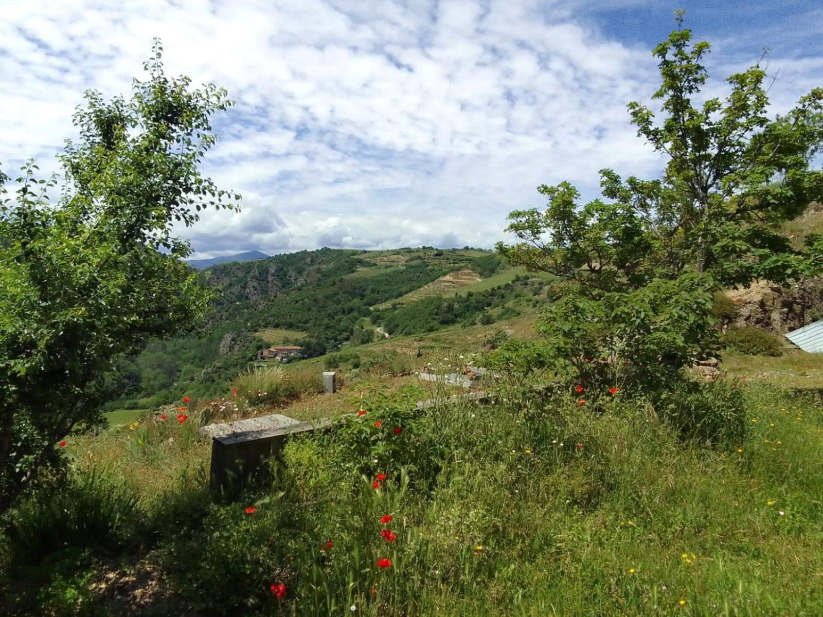 Gites De Revirand Sarras Exterior photo